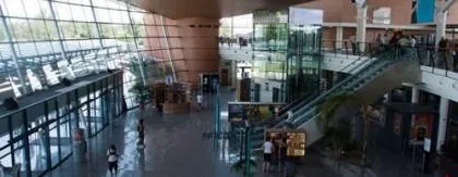Pau Pyrenees Airport